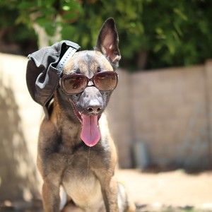 Meet your Posher, David